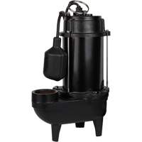 Pompe d'effluent en fonte, 5600 gal./h, 120 V, 10 A, 3/4 CV DC847 | Office Plus