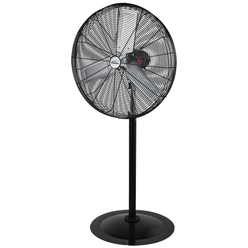 Oscillating Pedestal Fan