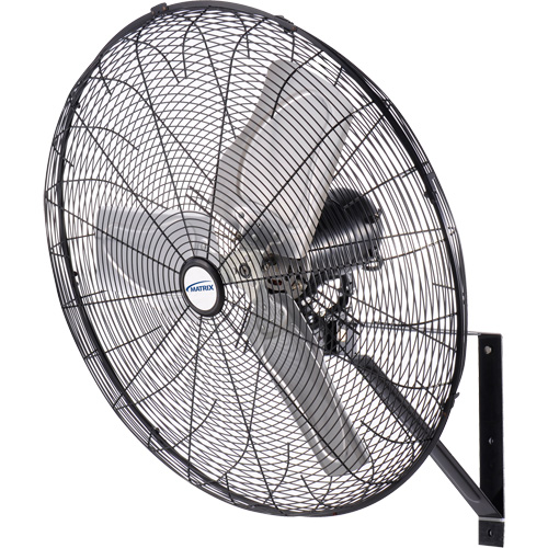 Outdoor Oscillating Wall Fan