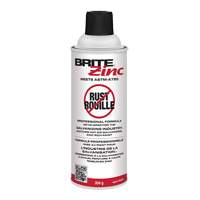 BRITE Zinc<sup>®</sup> Corrosion Inhibitor, Aerosol Can AD141 | Office Plus
