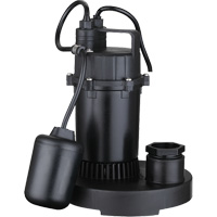 Pompe de puisard submersible thermoplastique, 2560 gal./h, 115 V, 4,6 A, 1/3 CV DC843 | Office Plus