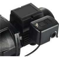 Dual Voltage Cast Iron Shallow Well Jet Pump, 115 V/230 V, 1100 GPH, 1 HP DC853 | Office Plus
