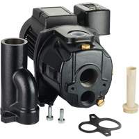 Dual Voltage Cast Iron Convertible Jet Pump, 115 V/230 V, 1400 GPH, 3/4 HP DC856 | Office Plus