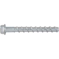 Wedge Bolts™, Carbon Steel, 1/2" x 5" GBM445 | Office Plus