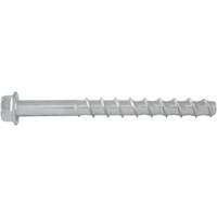 Wedge Bolts™, Carbon Steel, 1/2" x 6" GBM446 | Office Plus