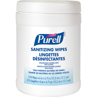 Hand Sanitizing Wipes, Canister JD602 | Office Plus