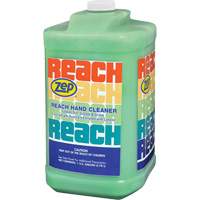 Reach Extra Heavy-Duty Hand Cleaner, Pumice, 3.78 L, Jug, Scented JL659 | Office Plus