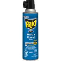 Raid<sup>®</sup> Wasp & Hornet Bug Killer, 400 g, Solvent Base JL959 | Office Plus