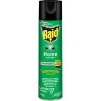 Raid<sup>®</sup> Home Insect Killer, 350 g, Solvent Base JL962 | Office Plus