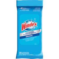 Windex<sup>®</sup> Glass & Surface Wipes, Packets JL970 | Office Plus