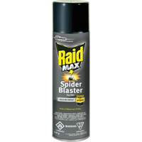 Raid<sup>®</sup> Max<sup>®</sup> Spider Blaster Bug Killer Insecticide, 500 g, Aerosol Can, Solvent Base JM270 | Office Plus