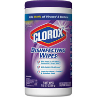 Disinfecting Wipes, 75 Count JO235 | Office Plus