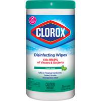 Disinfecting Wipes, 75 Count JO324 | Office Plus