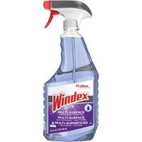 Windex<sup>®</sup> Ammonia-Free Multi-Surface Cleaner, Trigger Bottle JP463 | Office Plus