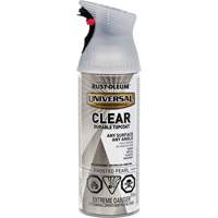 Universal Durable Top Coat, 312 g, Aerosol Can, Clear KQ453 | Office Plus