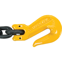 Chain Slings, 80 Chain, Double Legs, Oblong & Slip Hooks, 1/2" x 5' LT549 | Office Plus