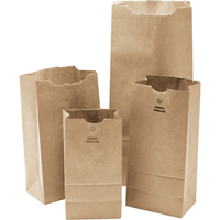 #3 Kraft Bag, Paper, 4-3/4" W x 8-1/2" L PG697 | Office Plus