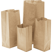 Paper Bags, Paper, 6" W x 11-0/0" L NG402 | Office Plus