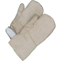 Gander Brand Mitt, Fibreglass, One Size, Protects Up To 608° F (320° C ) NJC605 | Office Plus