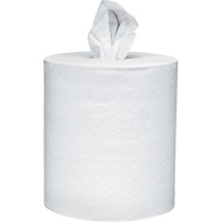 Scott<sup>®</sup> Essential Paper Towels, 2 Ply, Centre Pull, 625' L NJI990 | Office Plus