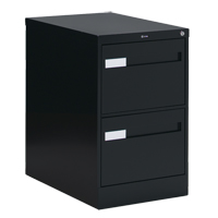 Vertical Filing Cabinet with Recessed Drawer Handles, 2 Drawers, 18.15" W x 26.56" D x 29" H, Black OTE611 | Office Plus