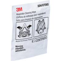 Respirator Cleaning Wipes, Wipes SAI530 | Office Plus