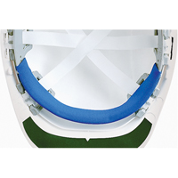 Replacement Brow Pad for ERB Hardhat SAX887 | Office Plus