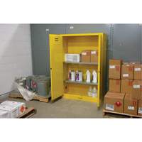Armoire pour produits inflammables, 45 gal., 2 Porte(s), 43" La x 65" h x 18" p SDN647 | Office Plus