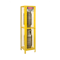 Gas Cylinder Cabinets, 2 Cylinder Capacity, 17" W x 17" D x 69" H, Yellow SEB838 | Office Plus
