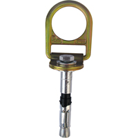 PRO™ Concrete D-ring Anchor with Bolt, Concrete/D-Ring, Permanent Use SEB928 | Office Plus