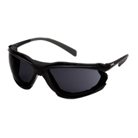 Proximity Safety Glasses, Grey/Smoke Lens, Anti-Fog Coating, ANSI Z87+/CSA Z94.3 SGI170 | Office Plus