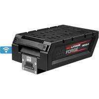 MX Fuel™ RedLithium™ Forge™ HD12.0 Battery Pack UAW027 | Office Plus