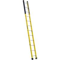 Single Manhole Ladder, 12', Fibreglass, 375 lbs., CSA Grade 1AA VD466 | Office Plus