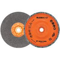 Blendex U™ Finishing Cup Disc, 5" Dia., Fine Grit, Silicon Carbide VV859 | Office Plus