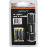 AFL200 Mini Flashlight, LED, 25 Lumens, AAA Batteries XD079 | Office Plus