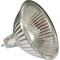 Ampoule de rechange MR16 XI504 | Office Plus