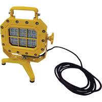 Explosion Proof Floodlight with Stand, LED, 40 W, 5600 Lumens, Aluminum Housing XJ040 | Office Plus