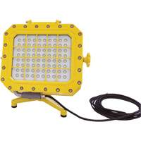 Explosion Proof Floodlight with Floor Stand, LED, 40 W, 5600 Lumens, Aluminum Housing XJ043 | Office Plus